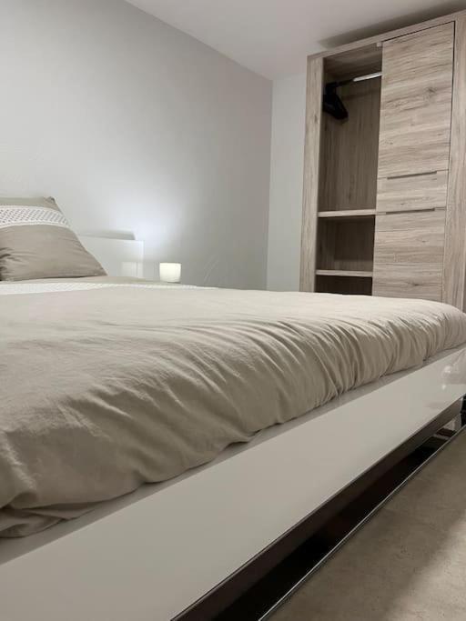 L'appart Du Ried Apartment *