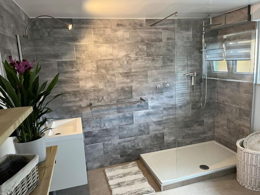 Apartment L'appart Du Ried Heidolsheim